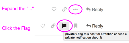 post icons showing flag