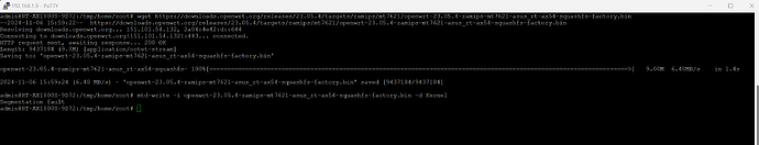 segmentation_fault