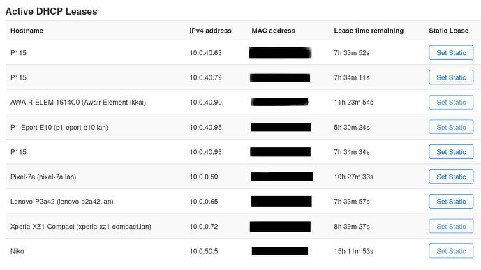 Active DHCP leases