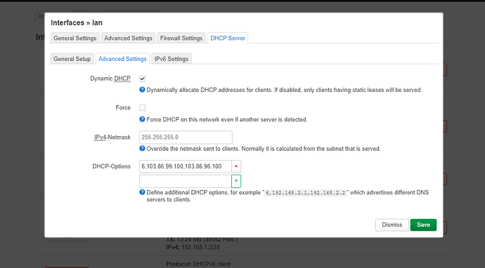 lan-dns