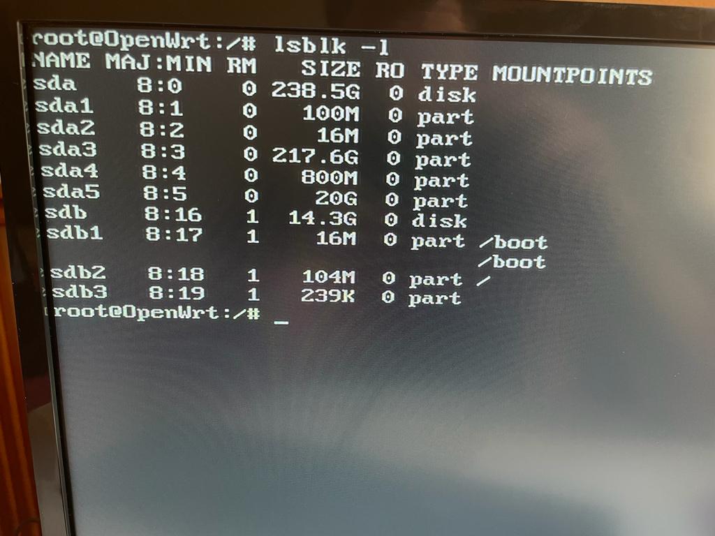 Installing OpenWRT In A X86 System In A Partition, Having Both WIN11 ...